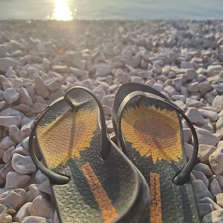 Daire Jelena - Cozy Two Bedroom Only 70m From The Beach, Diklo - Zadar