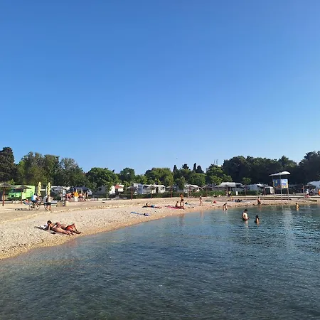 Lägenhet Jelena - Cozy Two Bedroom Only 70m From The Beach, Diklo - Zadar